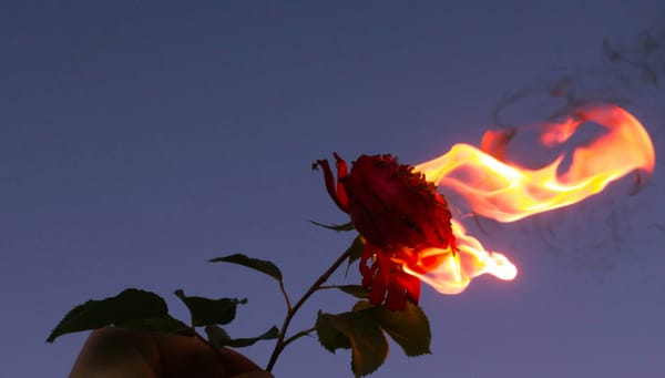 Love, Unfortunately: Part 1